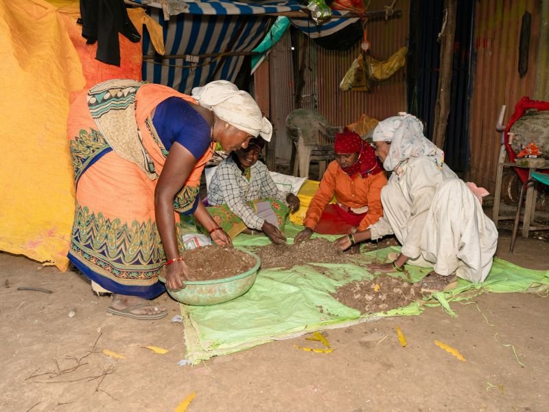 Women in India hand-cleaning harvested grain on a tarpaulin